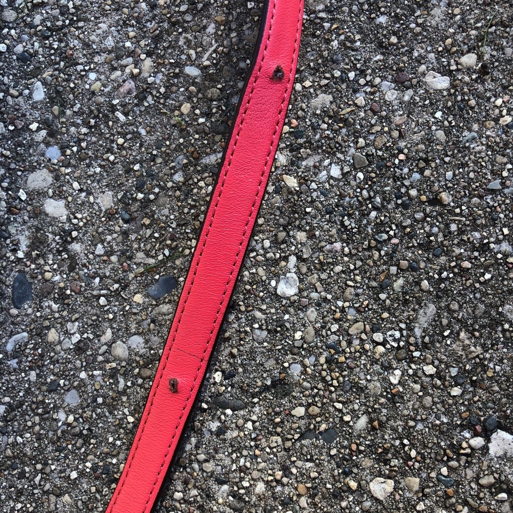 Coach Authentic Crossbody Pink And Tan Gem